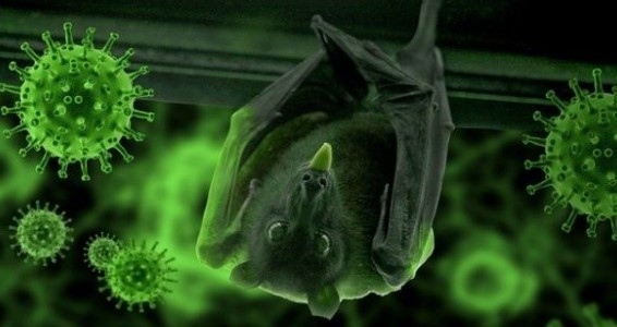 От Ухан предупредиха за нов вирус NeoCoV